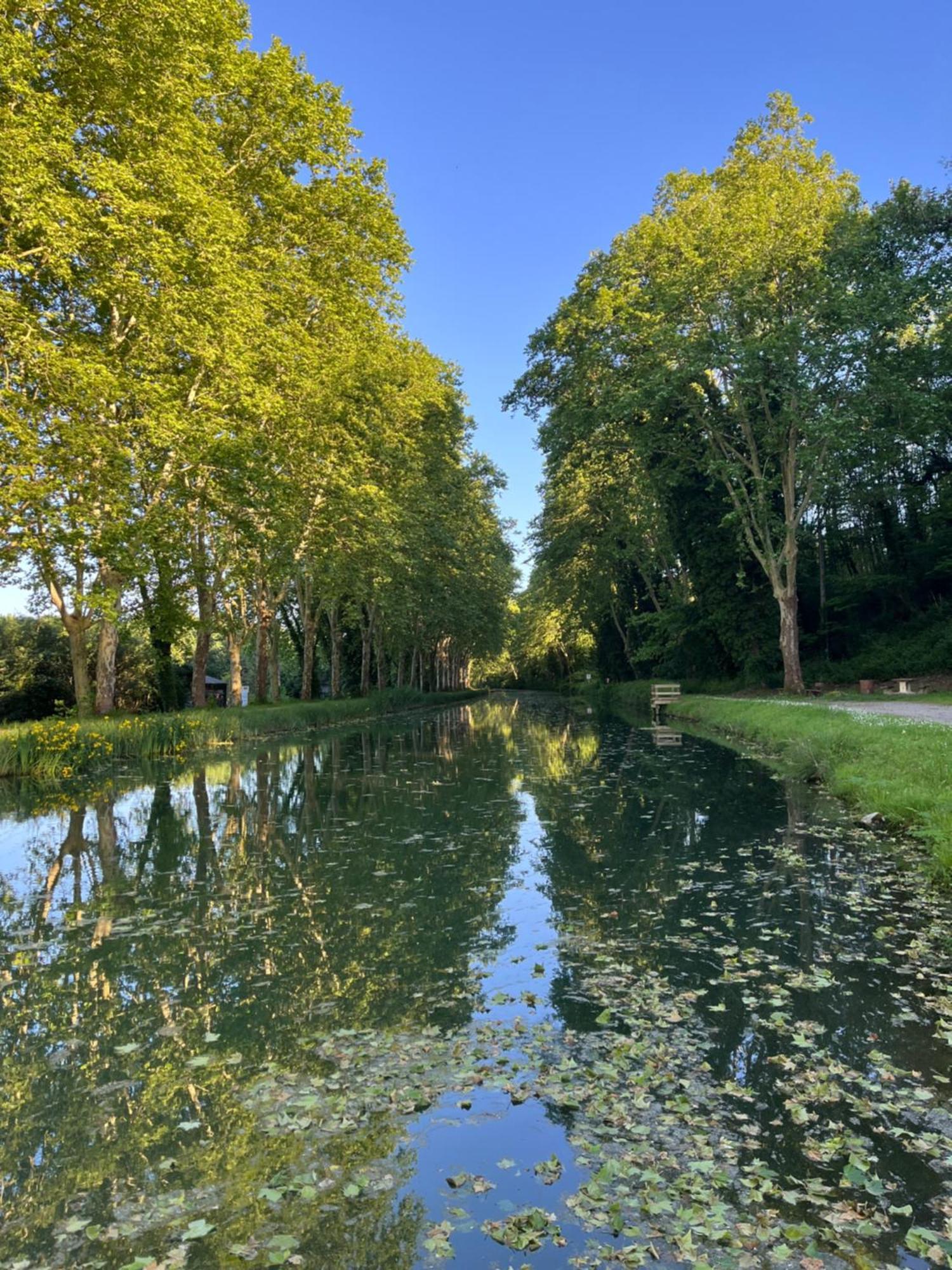Gite Le Coup De Pompe Ecluse 47 Meilhan-sur-Garonne Экстерьер фото
